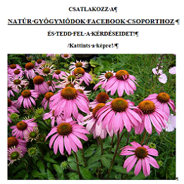 Natúr Gyógymódok Facebook Csoport