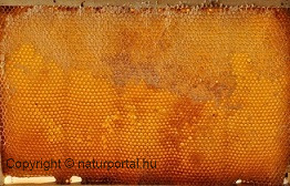 propolisz szirup, gyógyászati méz, bélféreg ellen házilag, méhszurok