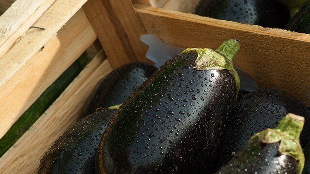 padlizsán, padlizsánkrém, legjobb padlizsánkrém