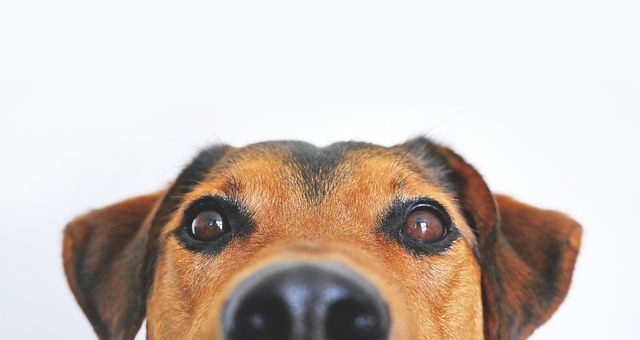 légzésterápia, petefészek ciszta, petefészek ciszta lelki okai