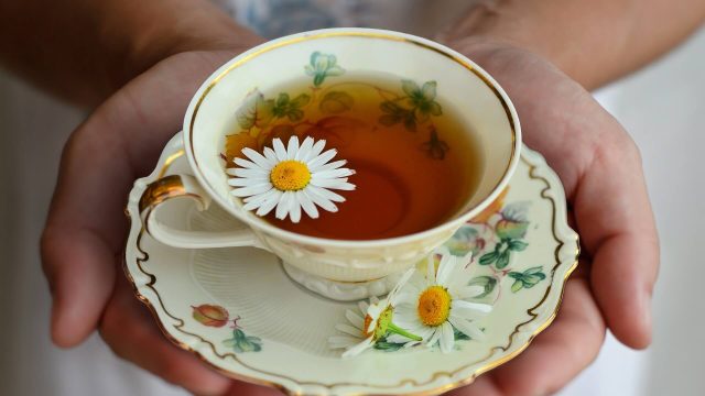 Fogantatást segítő gyógynövények