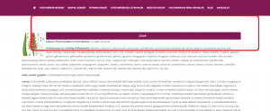célzott banner hirdetés