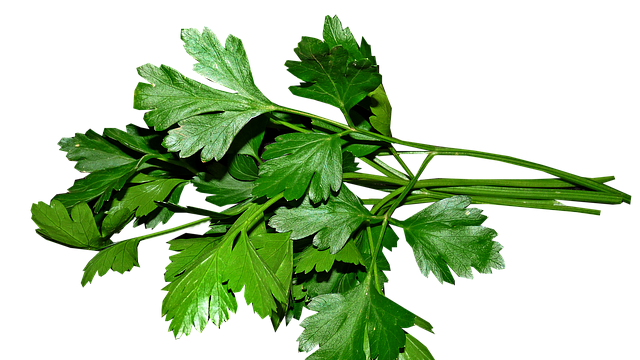 petrezselyem, gyógynövény kvíz, afrodiziákum, petrezselyem gyógyhatása