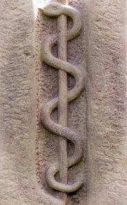 kígyó, gyógyszertár
