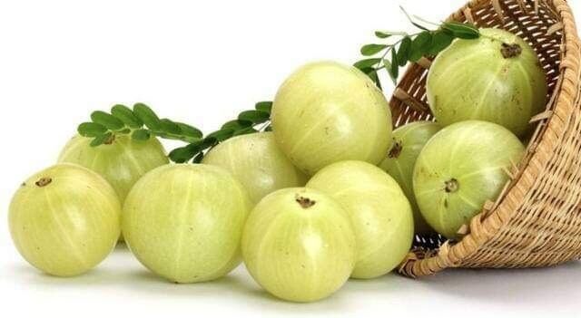 amla, India, indiai gyümölcs, indiai egres, köszméte jótékony hatása