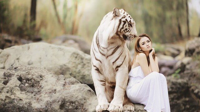 tigris, stressz, félelem, lány, nyugalom, meditáció, stresszkezelési technikák, probléma