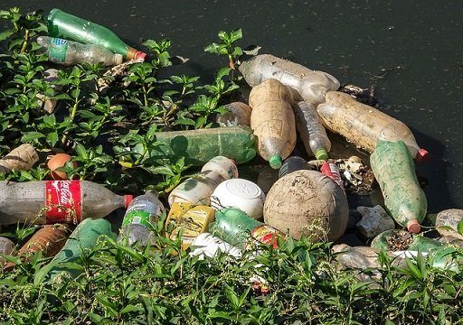 pet palack, műanyag szennyezés, szemét, vegyi anyagok, hulladék, környezetvédelem, vegyi szennyezés, műanyag hulladék, hulladék csökkentési tippek