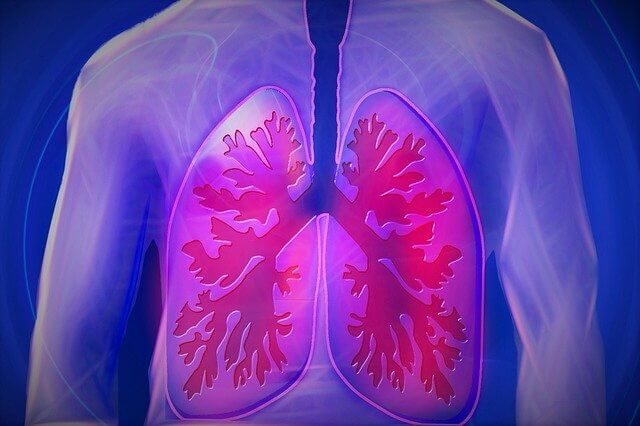 a tüdő, tüdő, légzés, lélegzés, trombózis kezelése