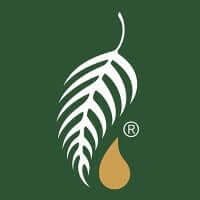 Melaleuca