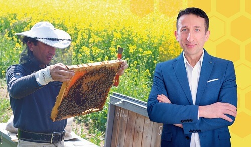 méhméreg, apiterápia, hegyi józsef, méhészeti termékek